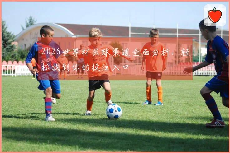 2026世界杯买球渠道全面分析，轻松找到你的投注入口