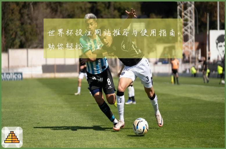 世界杯投注网站推荐与使用指南，助你轻松下注
