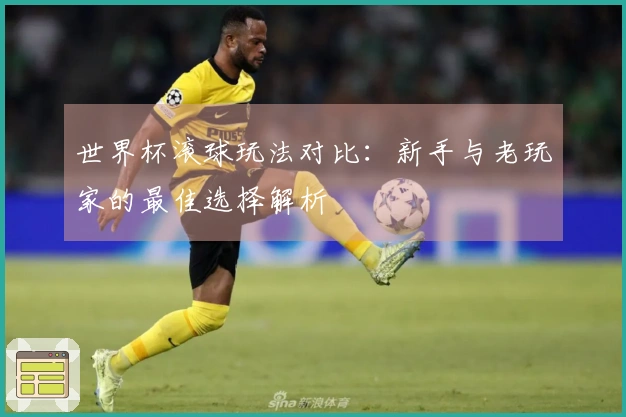 世界杯滚球玩法对比：新手与老玩家的最佳选择解析