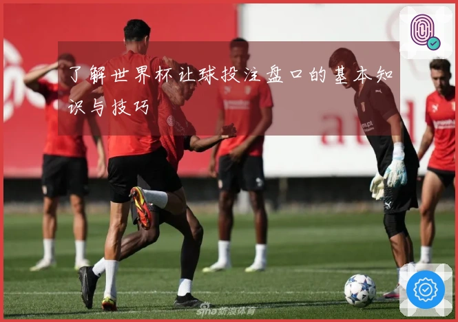 了解世界杯让球投注盘口的基本知识与技巧