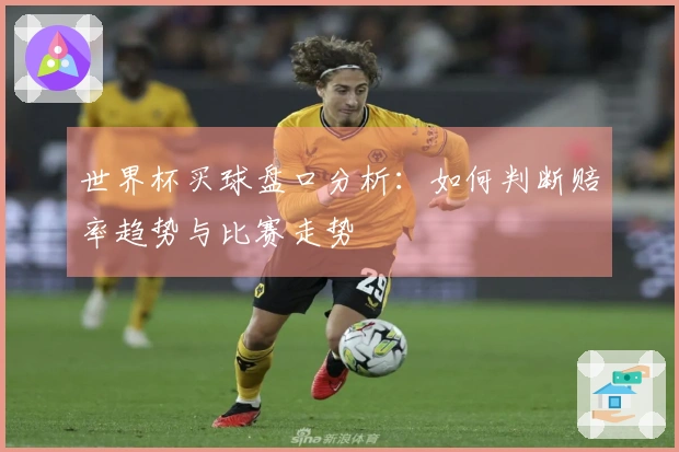 世界杯买球盘口分析：如何判断赔率趋势与比赛走势