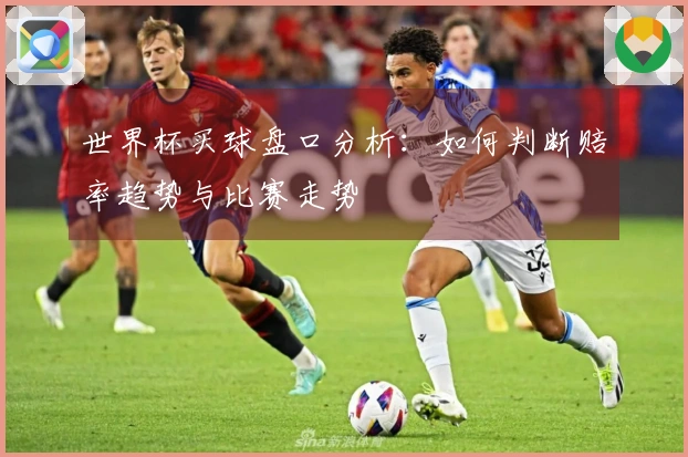 世界杯买球盘口分析：如何判断赔率趋势与比赛走势