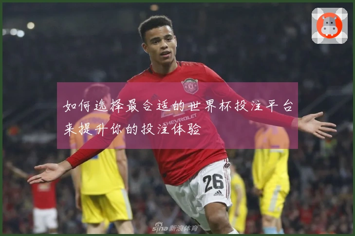 如何选择最合适的世界杯投注平台来提升你的投注体验