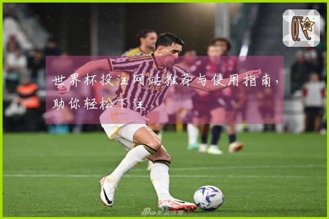 世界杯投注网站推荐与使用指南，助你轻松下注
