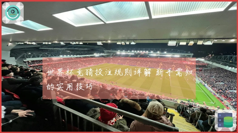 世界杯竞猜投注规则详解 新手需知的实用技巧