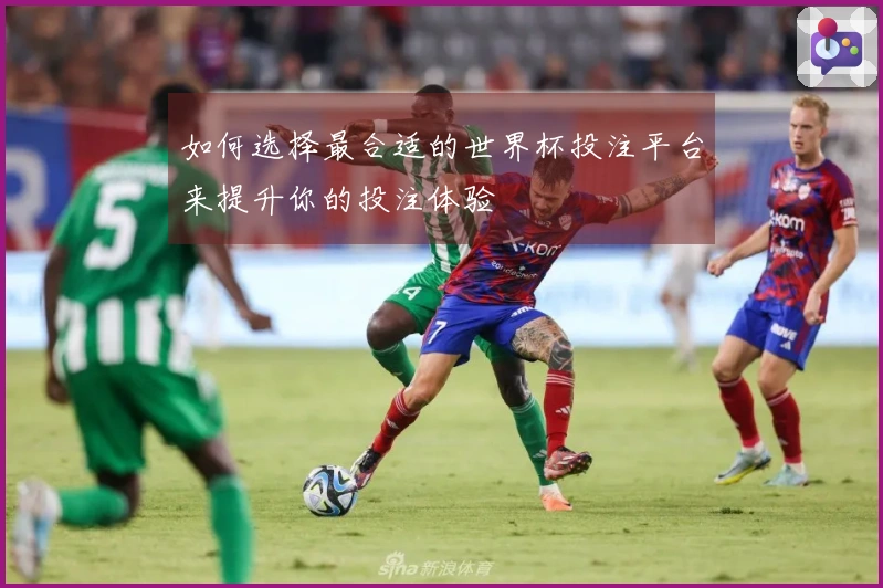 如何选择最合适的世界杯投注平台来提升你的投注体验