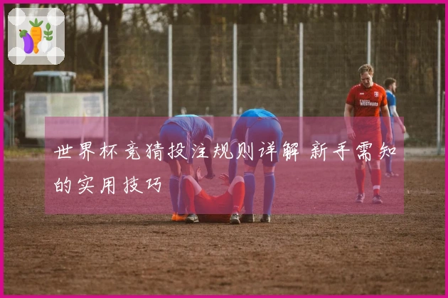 世界杯竞猜投注规则详解 新手需知的实用技巧