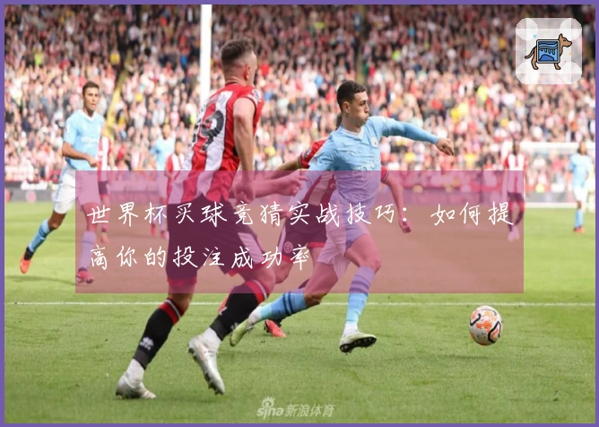世界杯买球竞猜实战技巧：如何提高你的投注成功率