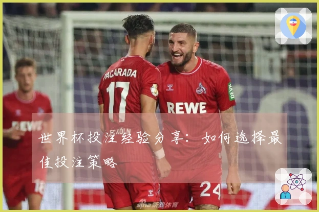 世界杯投注经验分享：如何选择最佳投注策略